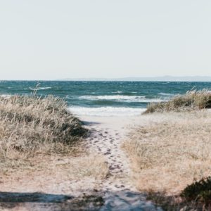 Photo d'un sentier portant sur la mer calme